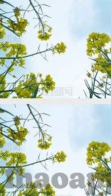 大发足球即时比分-揭秘大发足球即时比分，球迷必备神器还是信息过载陷阱？