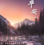 足球比分捷-足球比分捷报，绿茵场上的数字交响曲